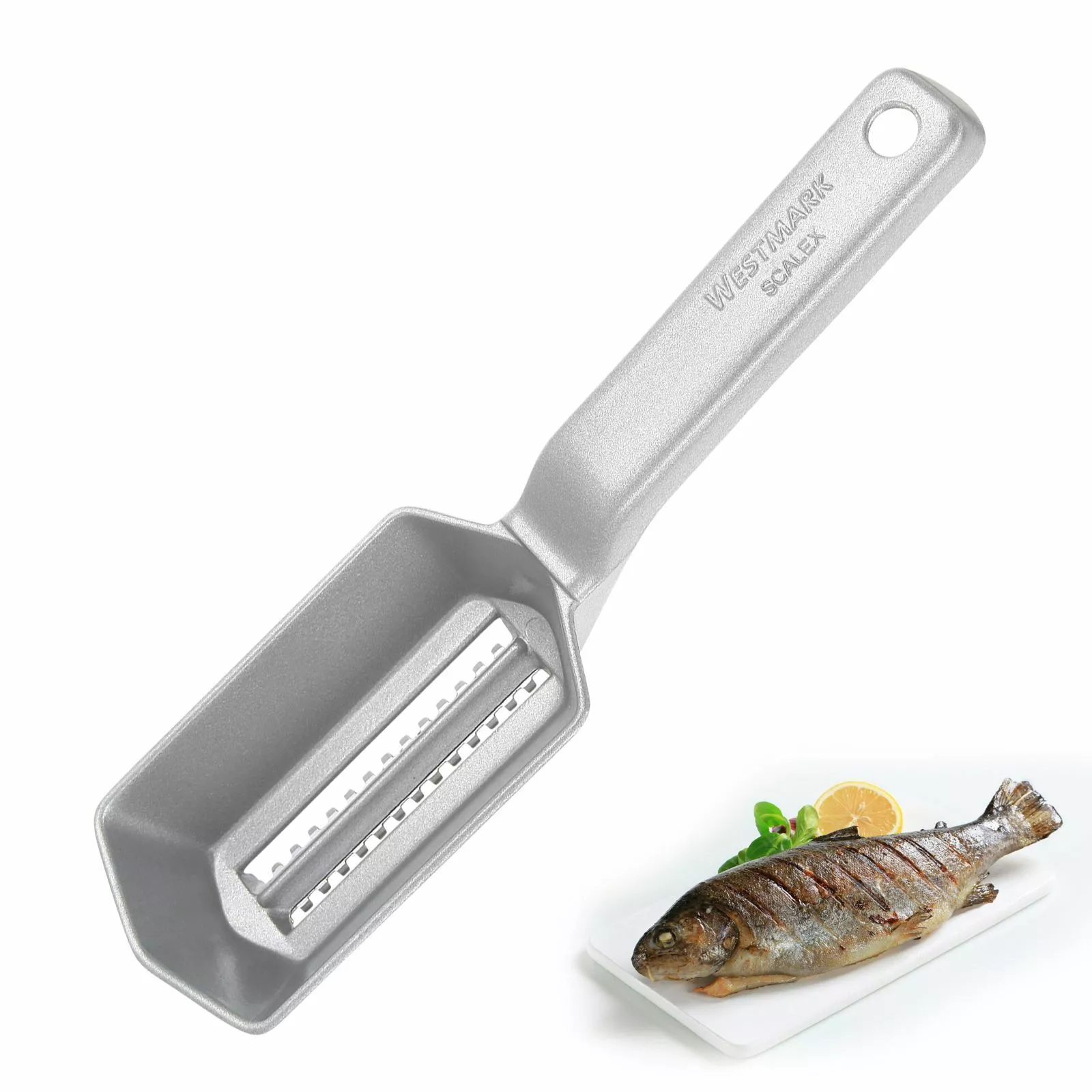 Fish scaler