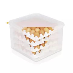 HACCP_egg_box_0