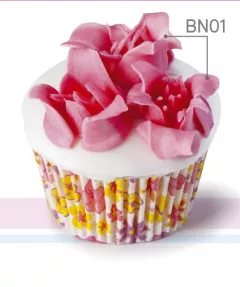 Set 12pc. pastry tube_4