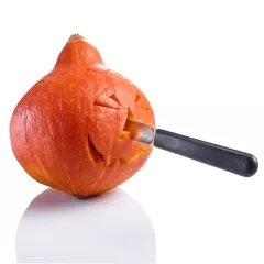 Pumpkin/watermelon carving set - 4pc._7