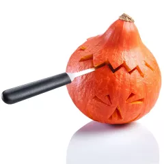 Pumpkin/watermelon carving set - 4pc._8