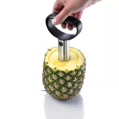 Pineapple_slicer_1